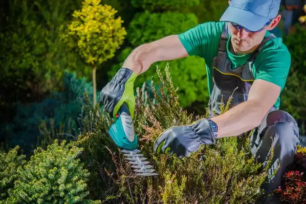 landscaping services Oxford